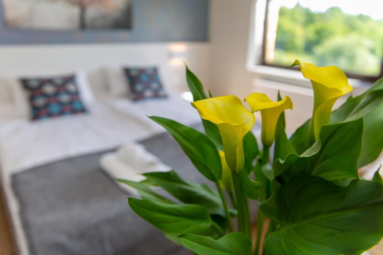 Sun & Sport Apartamenty Krynica-Zdroj Екстериор снимка